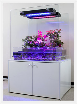 LED Plant Growth Controller -ifarm(Garden)  Made in Korea